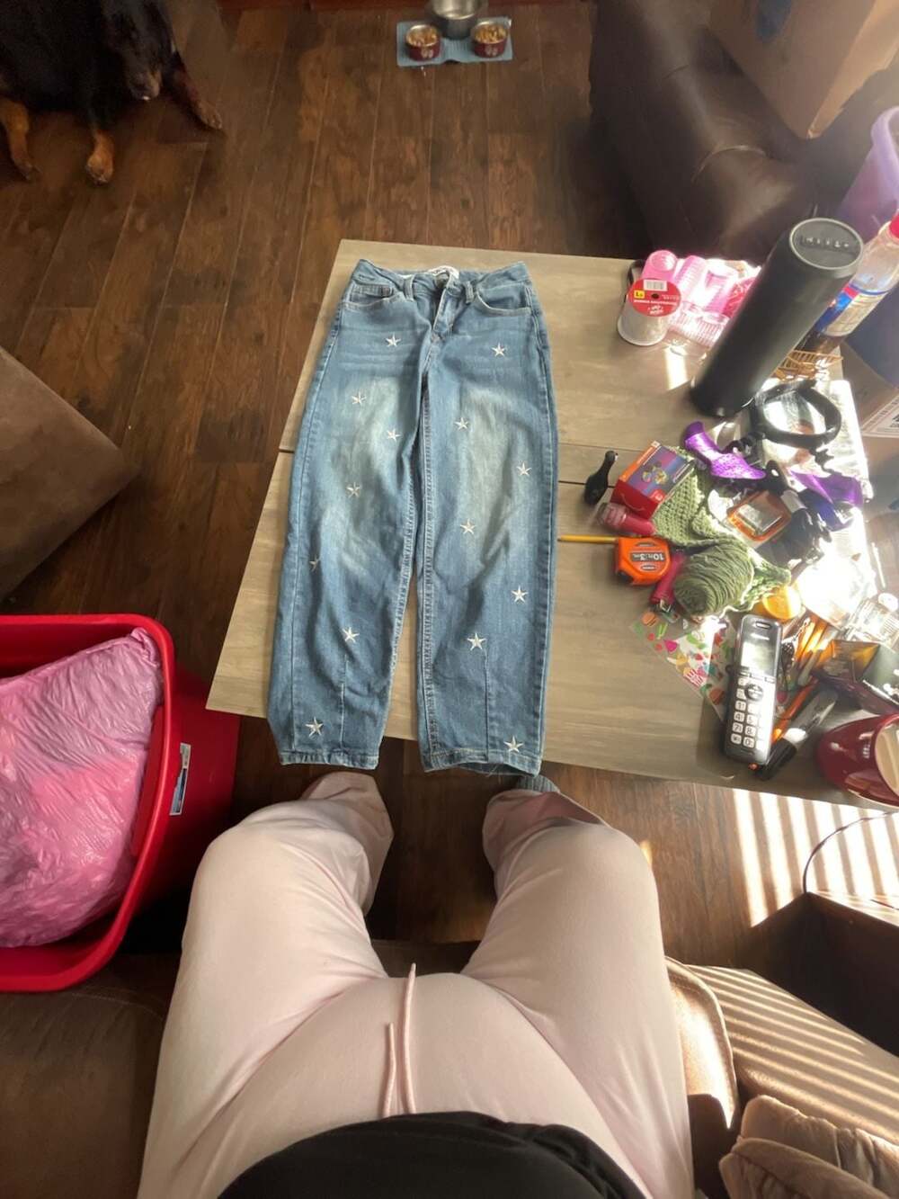 Vigoss Parker Barrel Leg Star Embroidered Jeans